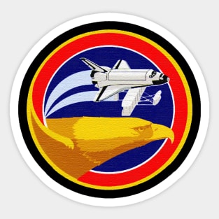 Black Panther Art - NASA Space Badge 116 Sticker